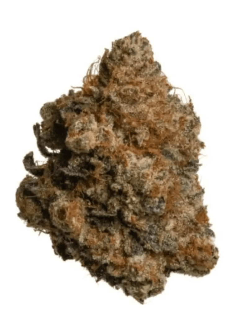 Demecan Core Cros 26:01 Crossbow